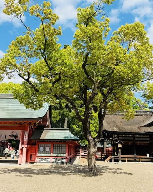 Osaka & Nara: Private Tour with English speaking guide - Umeda Sky Building, Dotonbori, and Osaka After Dark