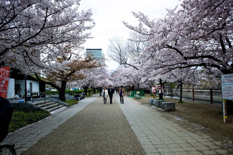 Osaka: Osaka Castle 3 hours Historical Walking Tour - Nishinomaru Garden and the best castle view