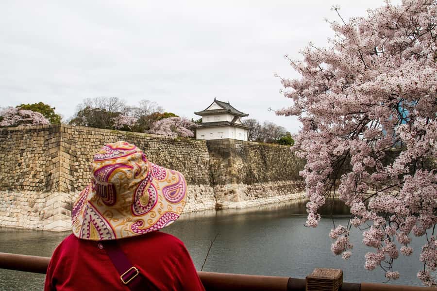 Osaka: Osaka Castle 3 hours Historical Walking Tour - Walking through Osaka Castle Park