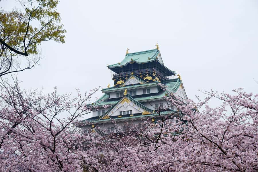 Osaka: Osaka Castle 3 hours Historical Walking Tour - Miraiza Osaka and the former army headquarters
