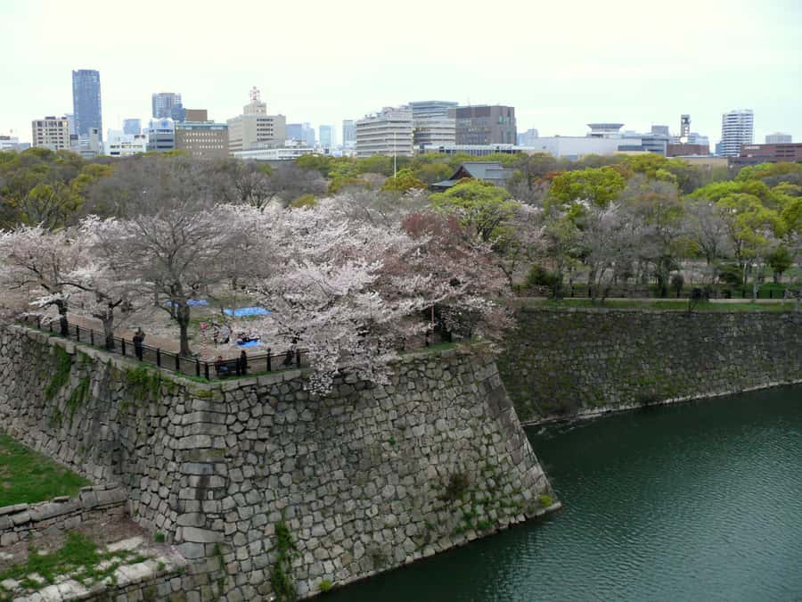 Osaka: Osaka Castle 3 hours Historical Walking Tour - Hokoku Shrine and the tour’s quiet finish