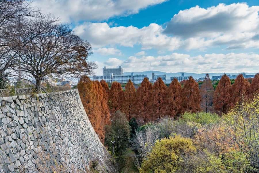 Osaka: Osaka Castle 3 hours Historical Walking Tour - Osaka Castle and the Toyotomi story