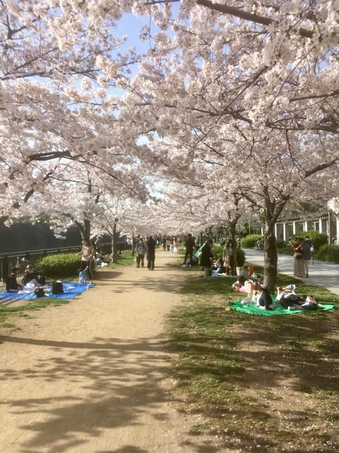 Osaka: Private and Fully Customized Tour with Hotel Meet Up - What This Private Format Does Well