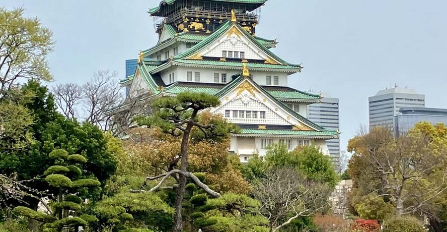 Osaka: Private and Fully Customized Tour with Hotel Meet Up - The Kyoto Sights Need a Clear Answer