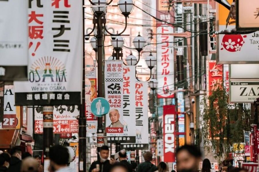 Osaka: Private Custom Walking Tour with a Local Guide - Price, extras, and the value question