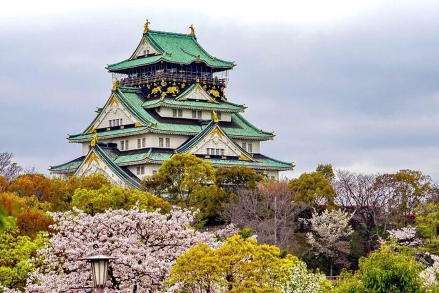 Osaka: Private Custom Walking Tour with a Local Guide - Should you book the Osaka private custom walk?