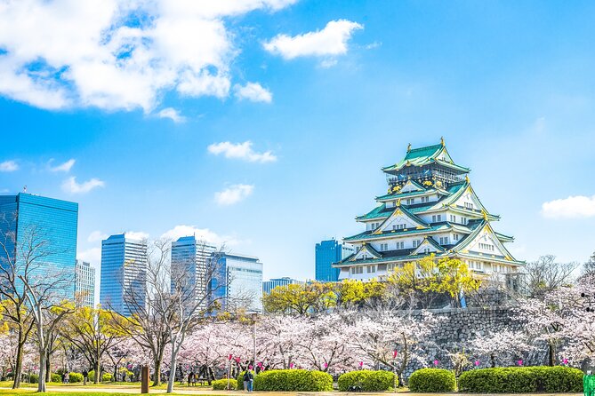 Osaka Private Day Trip - Enjoy Your First-Time Visit to Osaka! - Key points to know before you book