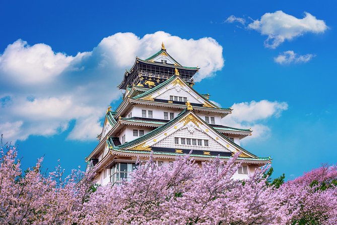 Osaka Private Food Tours by Local Foodies: 100% Personalized - Dotonbori classics: takoyaki and okonomiyaki