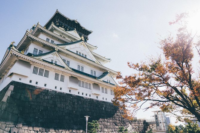 Osaka Private Pop Culture Tour: Historic Tenma to Dotonbori - The retro neon stop and Osaka’s playful side