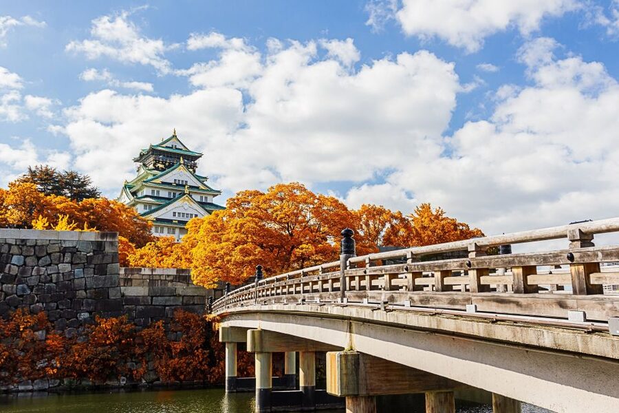 Osaka Private Tour with Government-Licensed Guide - What the $106 price really covers