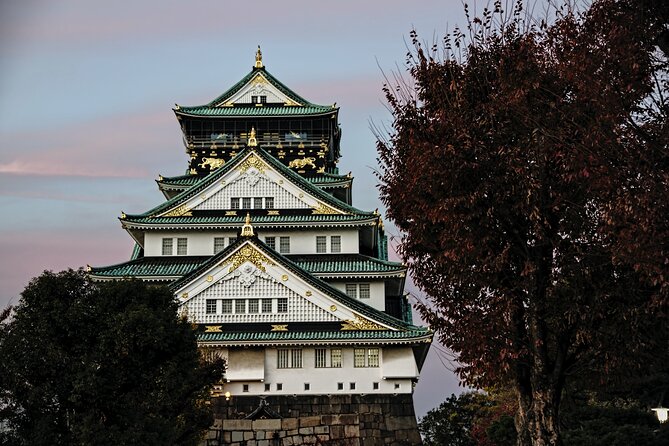 Osaka Private Walking Tour with a Local - Food, Dotonbori, and the pleasure of asking locally