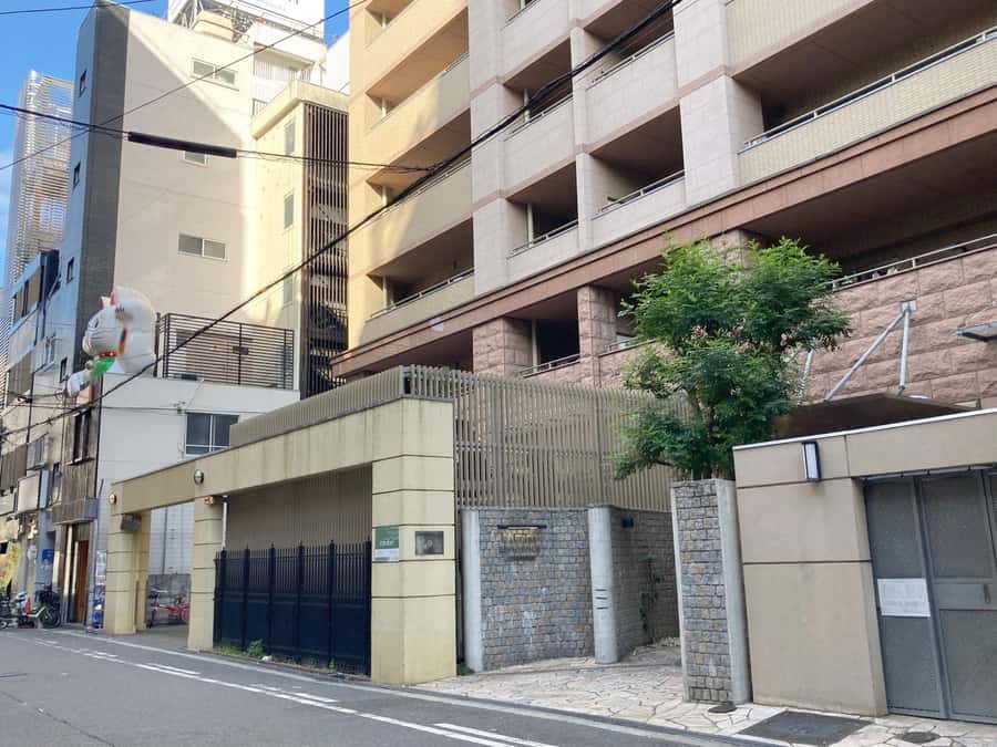 Osaka: Ramen and Gyoza Cooking Class in Dotonbori - Dietary needs and substitutions