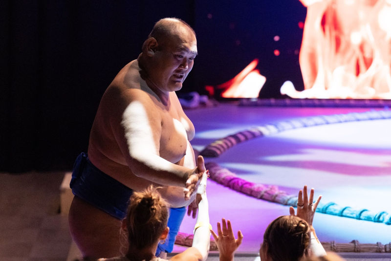 Osaka Sumo Show Experience with Food & Drinks - Who will enjoy the Osaka Sumo Hall?