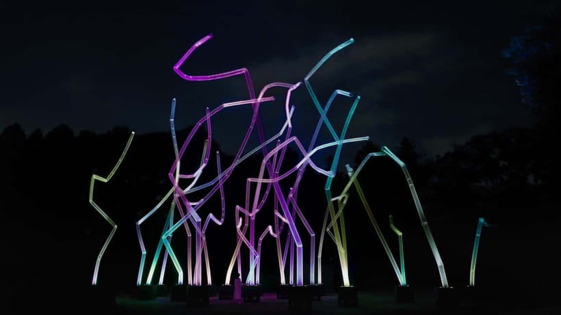 Osaka: teamLab Botanical Garden Entry Ticket - Key points before you book