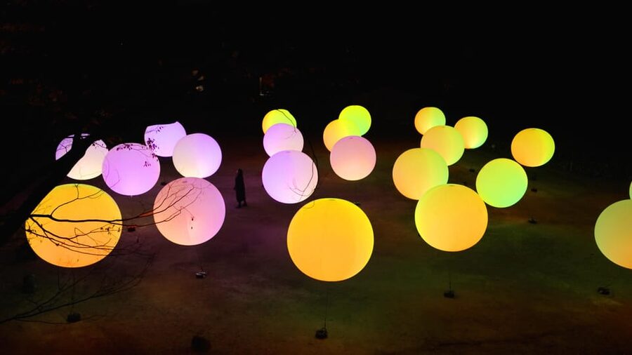 Osaka: teamLab Botanical Garden Entry Ticket - Rules that can affect your visit