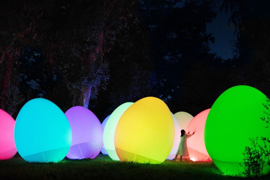 Osaka: teamLab Botanical Garden Entry Ticket - Walking through art that responds to people