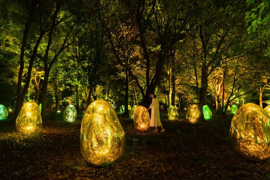 Osaka: teamLab Botanical Garden Entry Ticket - The practical walk, dark paths, and evening comfort