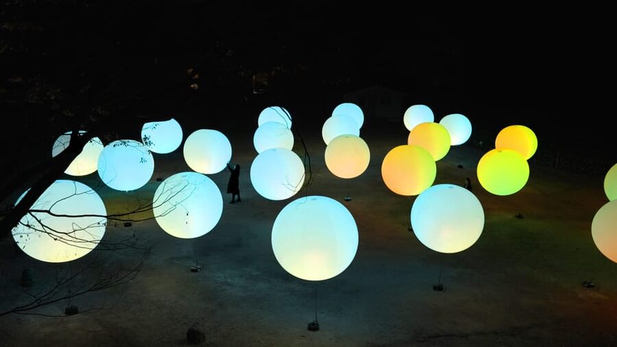 Osaka: teamLab Botanical Garden Entry Ticket - Families, older visitors, and accessibility