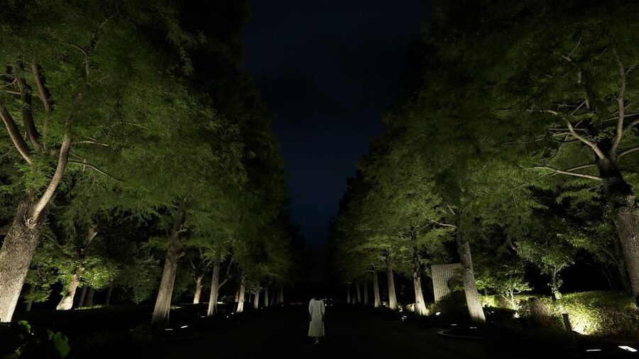 Osaka: teamLab Botanical Garden Entry Ticket - Starting with the daytime garden and central pond