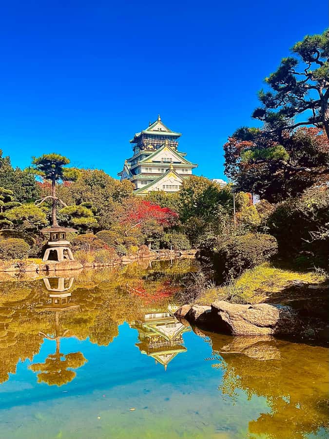 Osaka: Visit the must-see places. - Key points to know before booking