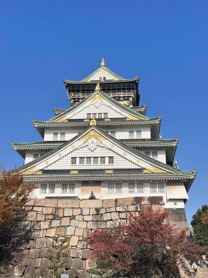Osaka: Visit the must-see places. - Who should book this experience