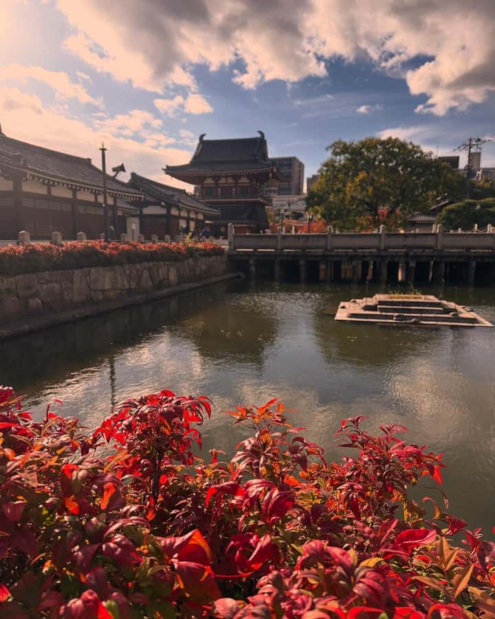Osaka: Visit the must-see places. - Namba and Dotombori after dark energy