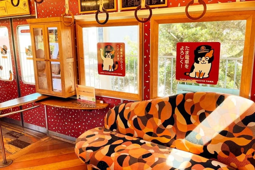 Osaka: Wakayama Cat Train, Seafood market, Hot Springs Tour - Key reasons this Wakayama day trip works