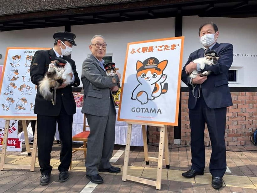 Osaka: Wakayama Cat Train, Seafood market, Hot Springs Tour - Why this $83 trip is worth considering