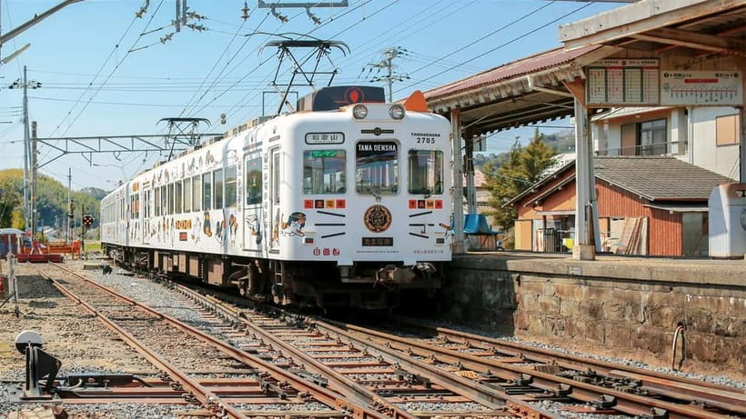 Osaka: Wakayama Cat Train, Seafood market, Hot Springs Tour - Kishi Station and the Tama cat story