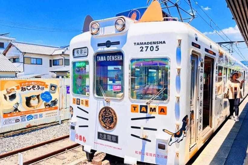 Osaka: Wakayama Cat Train, Seafood market, Hot Springs Tour - Meeting at Nipponbashi and leaving Osaka
