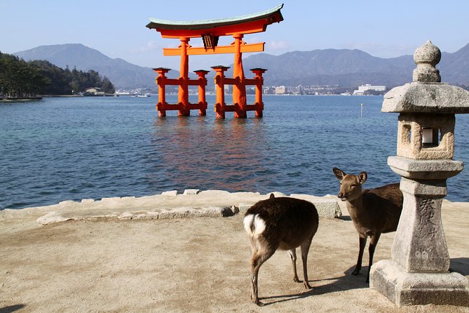 Peaceful Hiroshima & Miyajima UNESCO 1 Day Bus Tour - Key points to know before booking