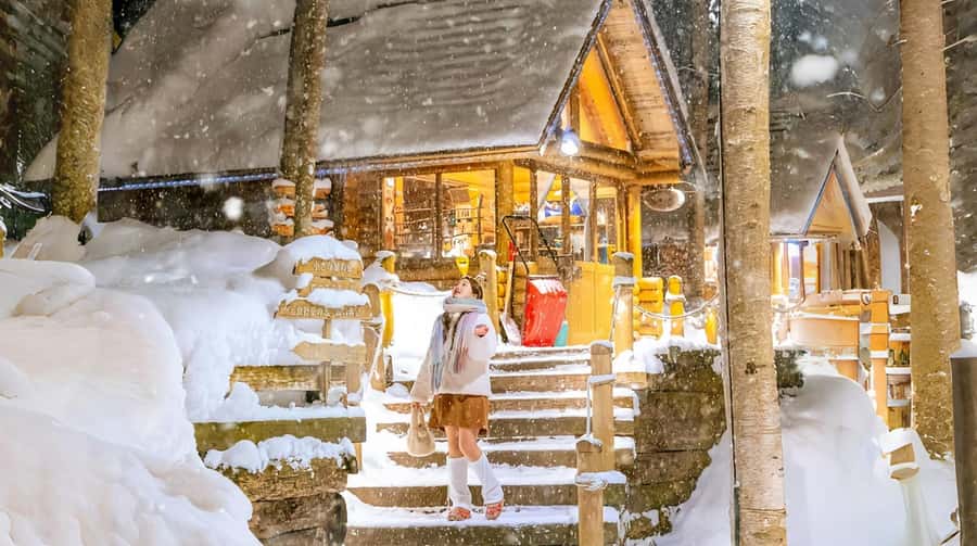 Penguin Fun & Snowmobile : Sapporo Winter (Asahiyama Zoo) - Shikisai-no-oka and the optional snowmobile ride