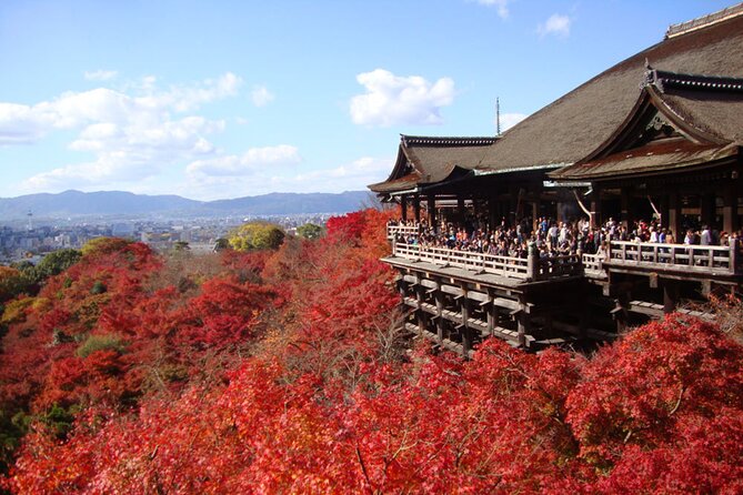 PERFECT KYOTO 1-Day Bus Tour - Key points before you book