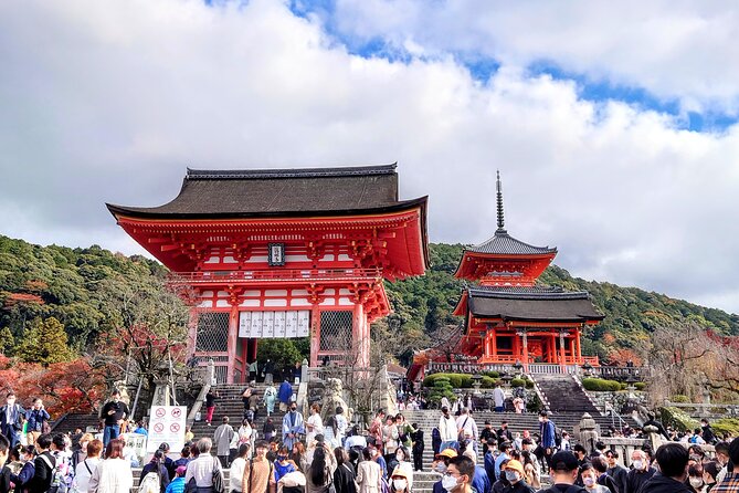 PERFECT KYOTO 1-Day Bus Tour - What $129.25 buys you in Kyoto