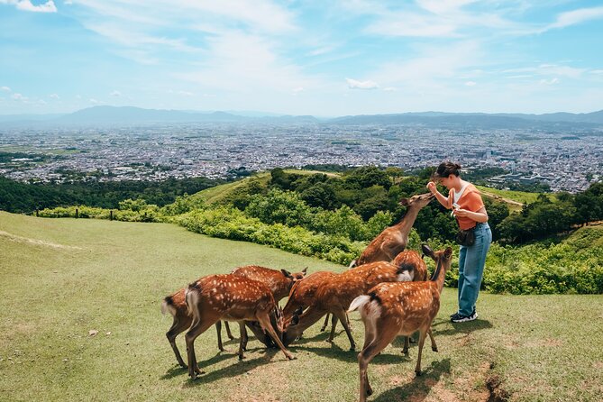 Perfect Nara Park Half-Day Bus Tour with English Speaking Guide - Todaiji Temple and the Great Buddha Hall