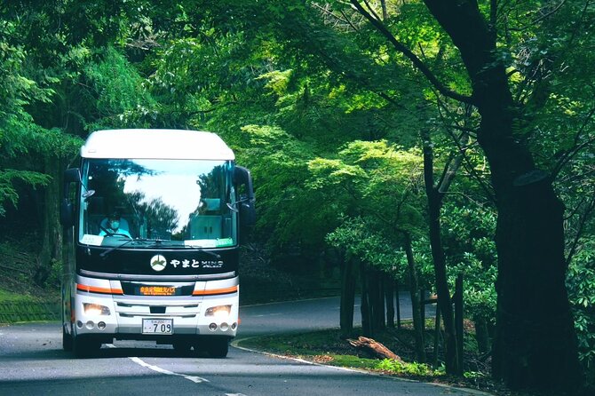Perfect Nara Park Half-Day Bus Tour with English Speaking Guide - What the $66.05 price includes