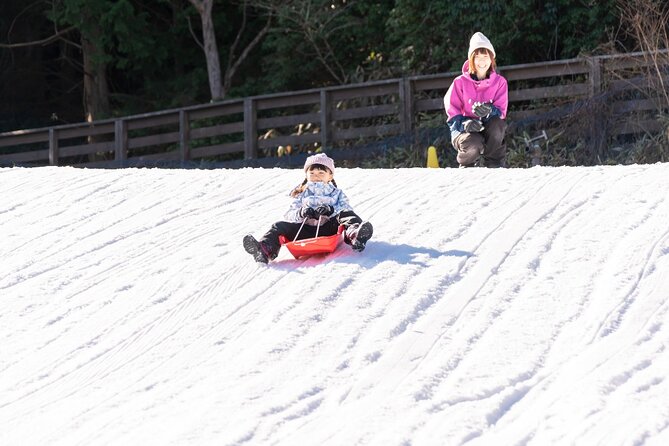 Play with Snow Crab Buffet Lunch and Strawberry Picking Bus Tour - Key things to know before booking