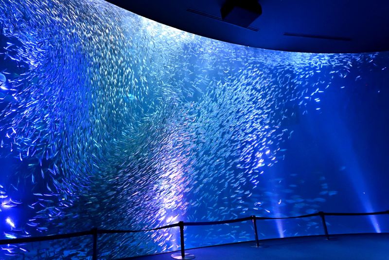 Port of Nagoya Public Aquarium Ticket - At a glance