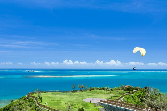 Port Pick-Up: Naha Private Tour Licensed Guide& Vehicle - Key points to know before booking
