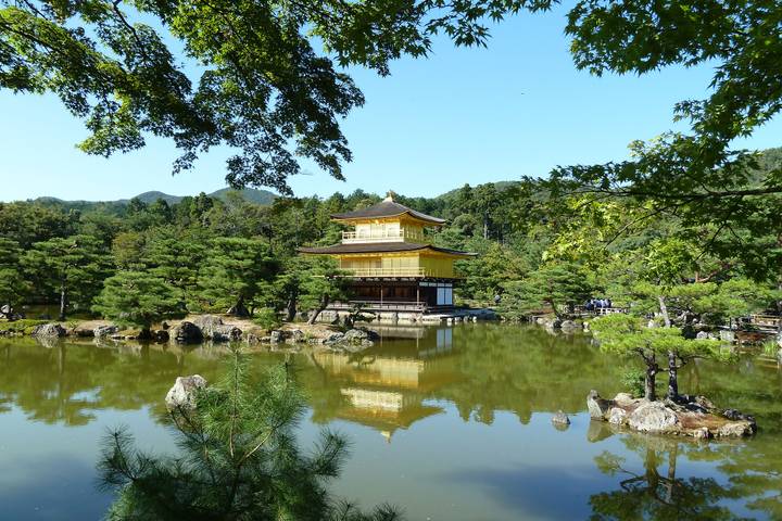 Premium Japan by Intrepid - 12-Day Tokyo to Kyoto Tour Review - Is this the right Japan tour for you?