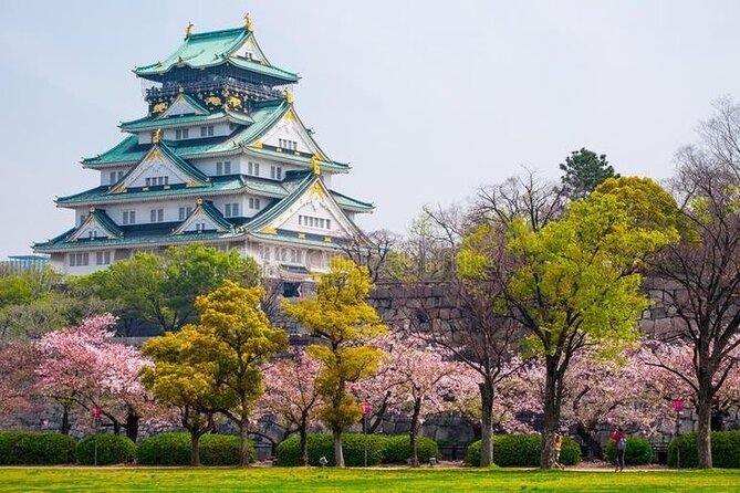 PRIVATE 6hr, Food tour from Osaka Castle, Kuromon, Dotonbori. - Five details that shape the day