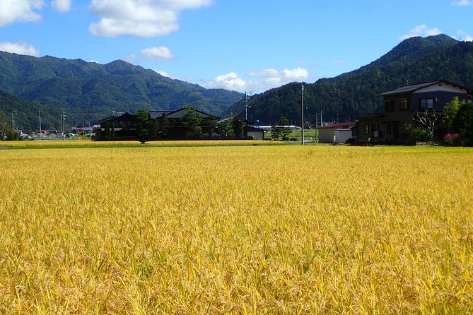 Private Afternoon Cycling Tour in Hida-Furukawa - Why Hida-Furukawa is better seen on two wheels