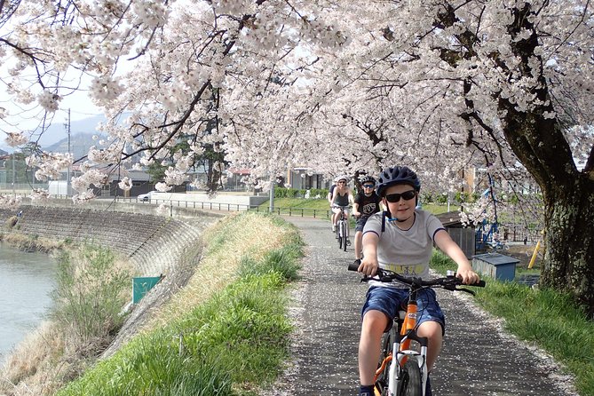 Private Afternoon Cycling Tour in Hida-Furukawa - The market, old houses, shrines, and tea stop