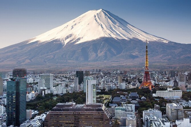 Private Airport transfer Haneda Airport(HND) to Tokyo City - The service record: strong overall, with a few warnings