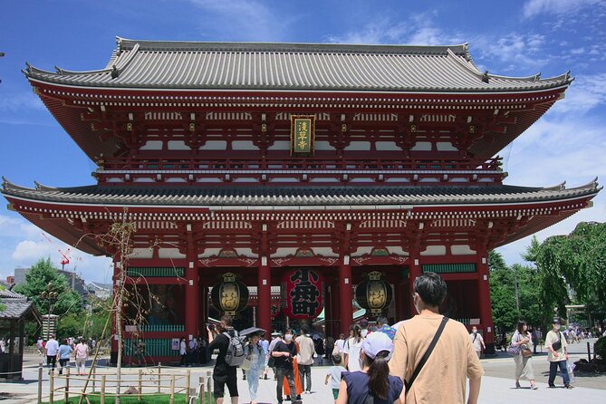 Private and Customisable Tokyo Tour with English Driver-guide - Why a private car helps in Tokyo