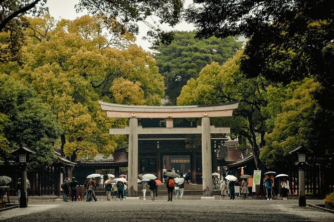 Private and Customisable Tokyo Tour with English Driver-guide - Ginza and Tokyo Station for central-city contrasts
