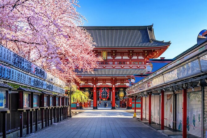 Private and Customisable Tokyo Tour with English Driver-guide - Odaiba and Tokyo Bay