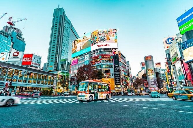 Private and Customisable Tokyo Tour with English Driver-guide - Tsukiji Fish Market and the question of lunch
