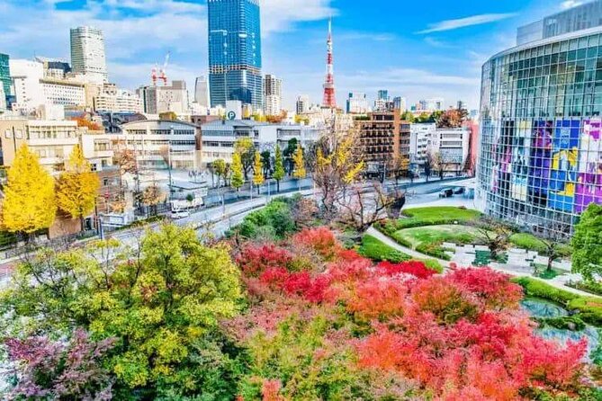 Private and Customisable Tokyo Tour with English Driver-guide - Shibuya Crossing, Takeshita Street, and Meiji Jingu
