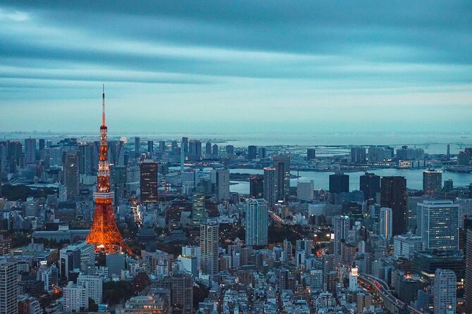 Private and Customisable Tokyo Tour with English Driver-guide - How the flexible planning works